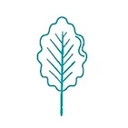 Plant Slant